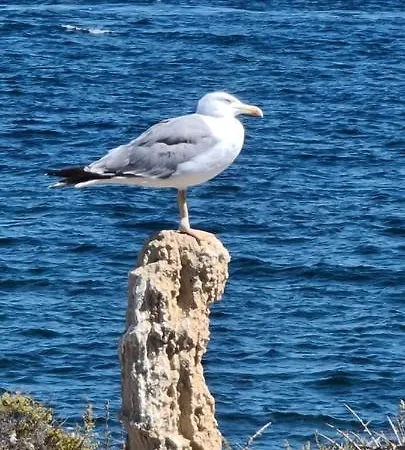 Διαμέρισμα 75 Avinguda De Murcia